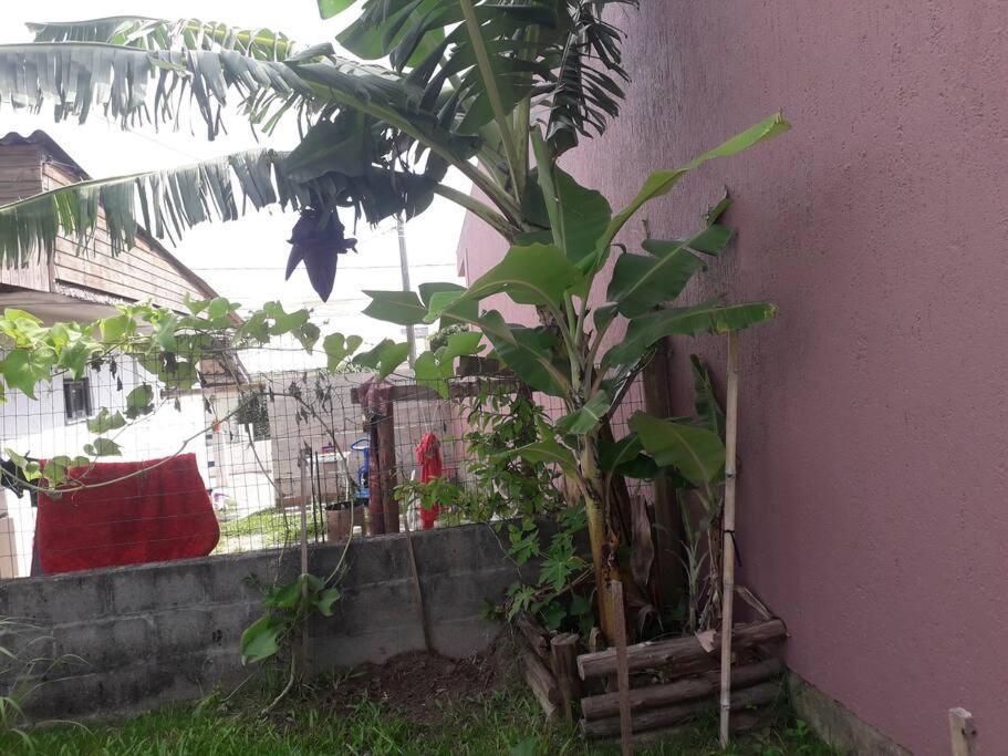 Casa Proximo A Praias, Trilhas E Cachoeiras. Garopaba Eksteriør bilde
