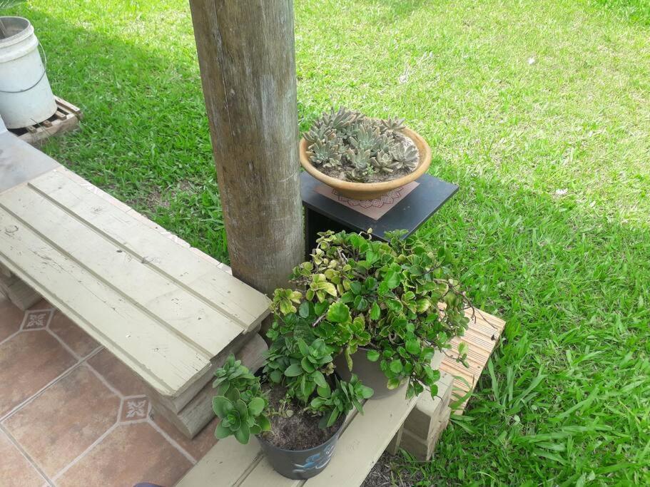 Casa Proximo A Praias, Trilhas E Cachoeiras. Garopaba Eksteriør bilde