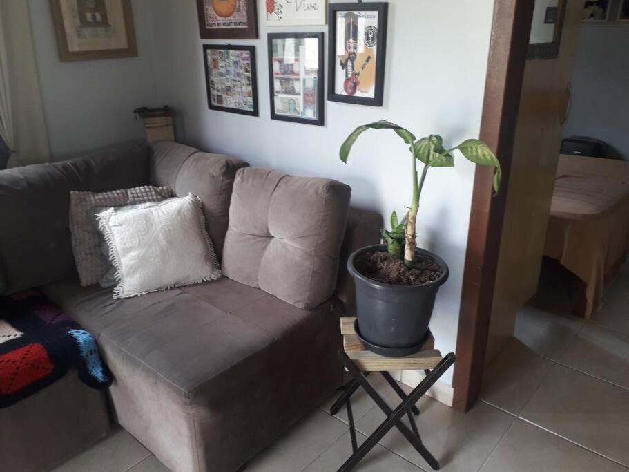 Casa Proximo A Praias, Trilhas E Cachoeiras. Garopaba Eksteriør bilde